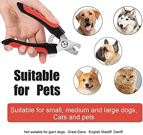 Rechargeable Pet Nail Grinder & Clipper with LED — Quiet, Safe & Stress-Free