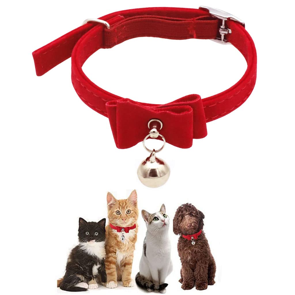 Velvet Cat Collar with Safety Breakaway Buckle — Soft, Stylish & Secure