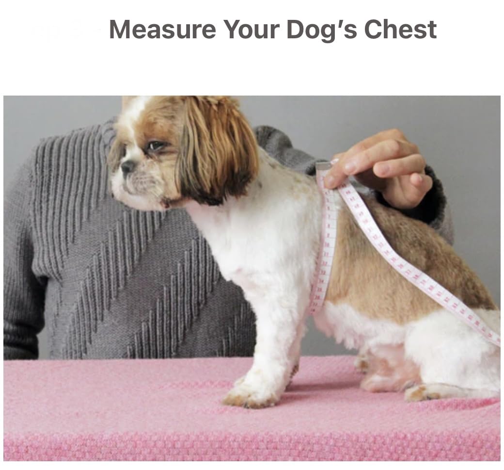 KUTKUT Fruit Print Breathable Mesh Summer Vest for Small Dogs — Stay Cool in Style