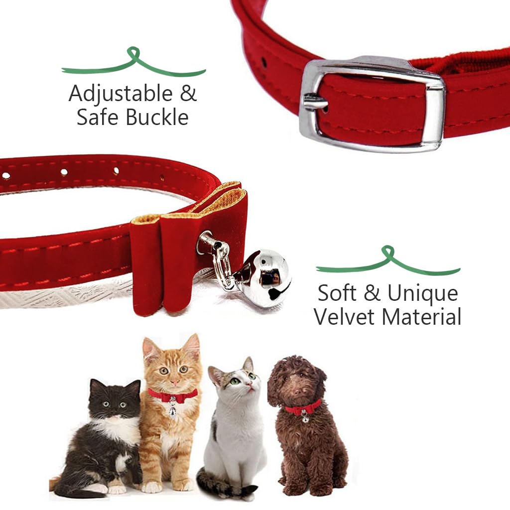 Velvet Cat Collar with Safety Breakaway Buckle — Soft, Stylish & Secure