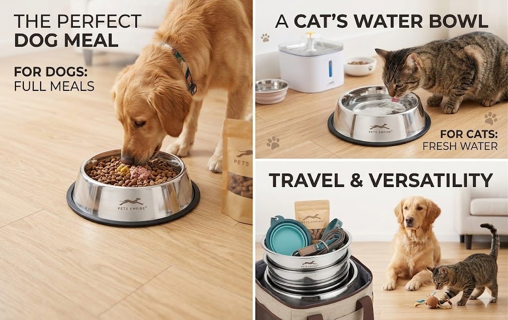 Stainless Steel Dog Feeding Bowl — Pack of 2 | Hygienic, Durable & Non-Slip