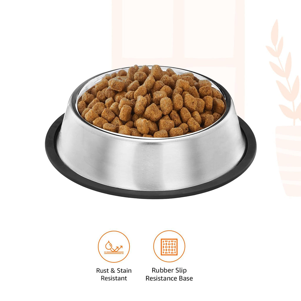 Stainless Steel Dog Feeding Bowl — Pack of 2 | Hygienic, Durable & Non-Slip