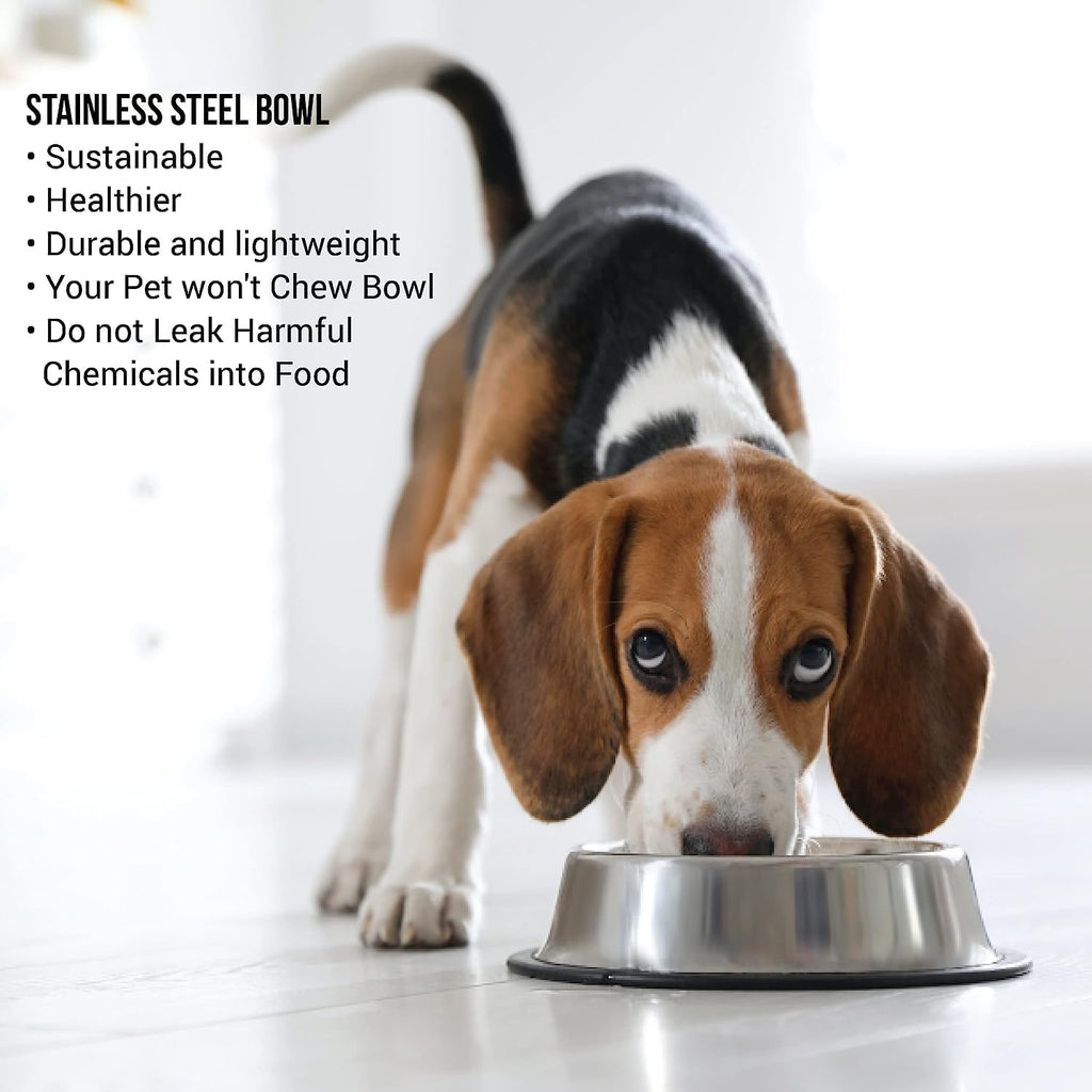 Stainless Steel Dog Feeding Bowl — Pack of 2 | Hygienic, Durable & Non-Slip