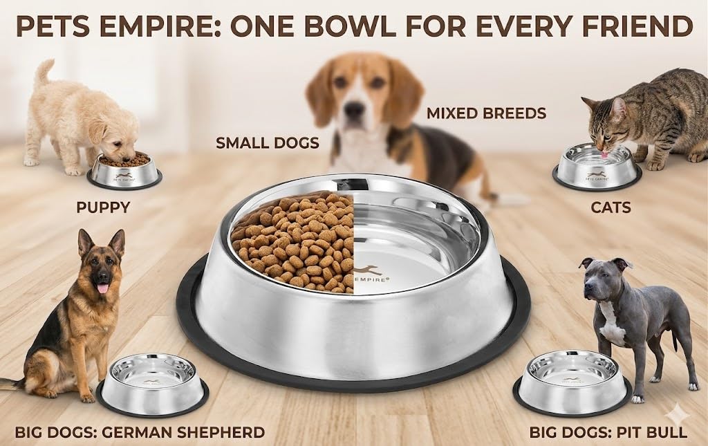Stainless Steel Dog Feeding Bowl — Pack of 2 | Hygienic, Durable & Non-Slip