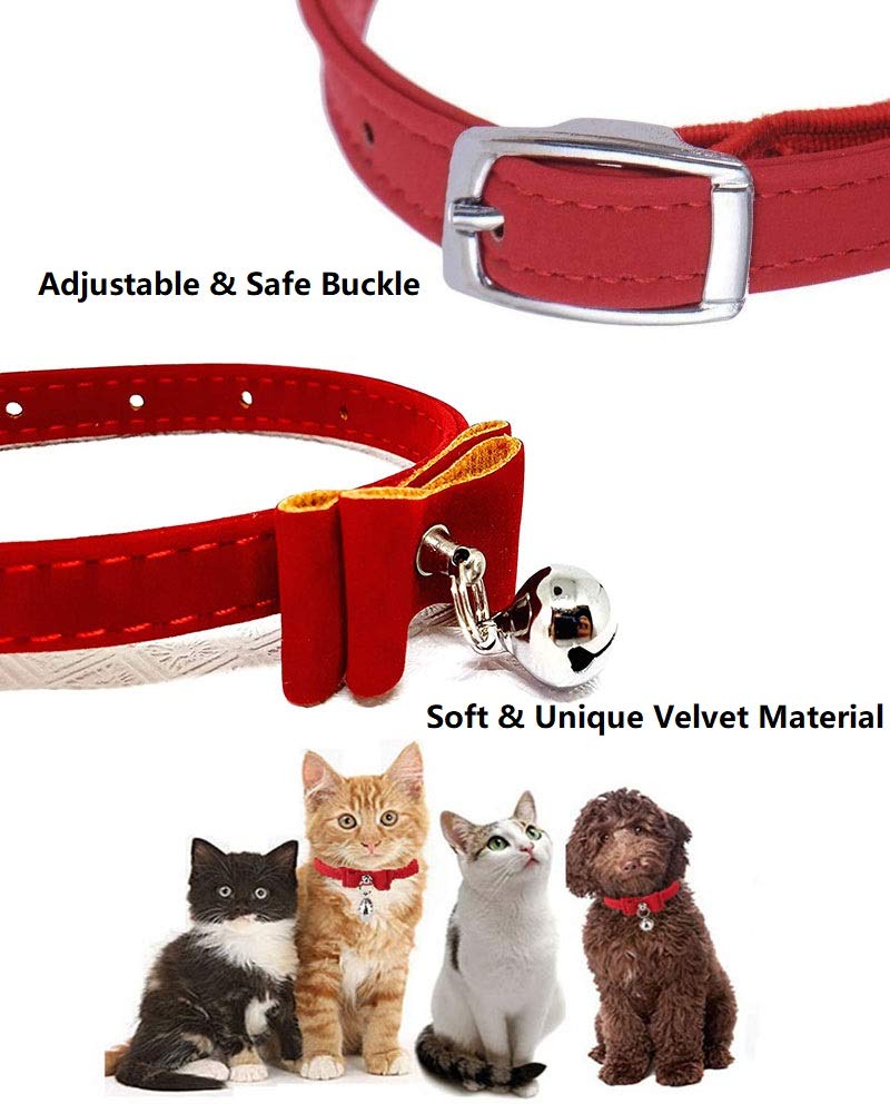 Velvet Cat Collar with Safety Breakaway Buckle — Soft, Stylish & Secure