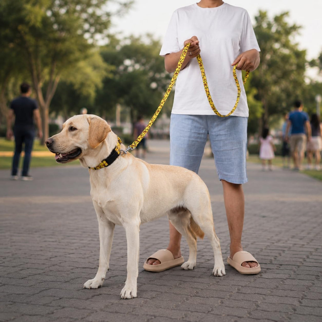 Heavy Duty Reflective Dog Leash with Padded Handle — Safe Walks Day & Night