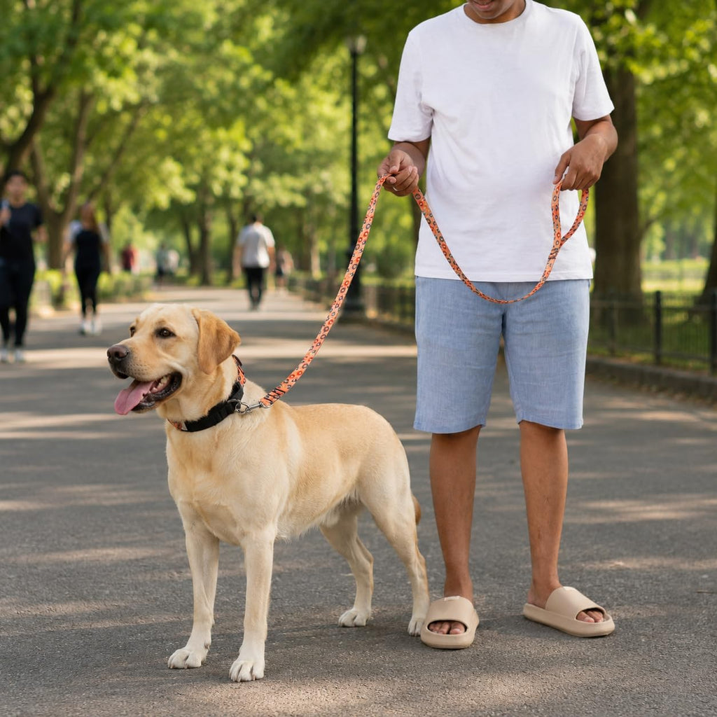 Heavy Duty Reflective Dog Leash with Padded Handle — Safe Walks Day & Night