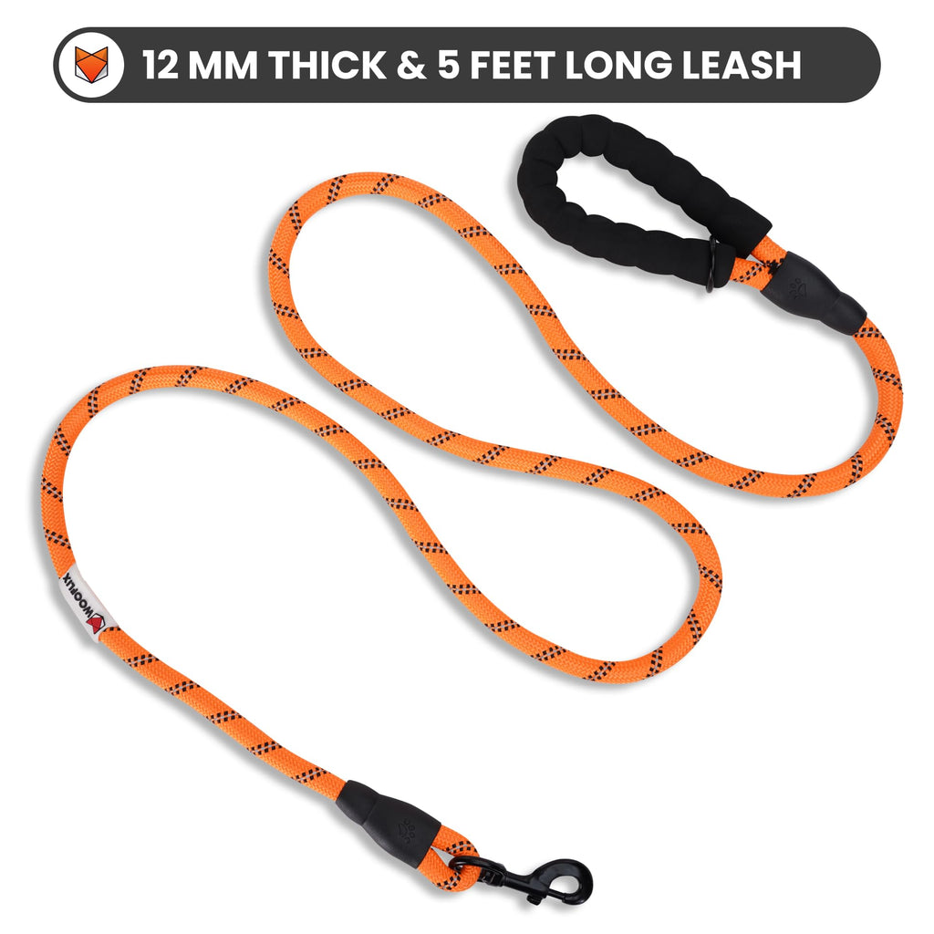 Heavy Duty Reflective Dog Leash with Padded Handle — Safe Walks Day & Night