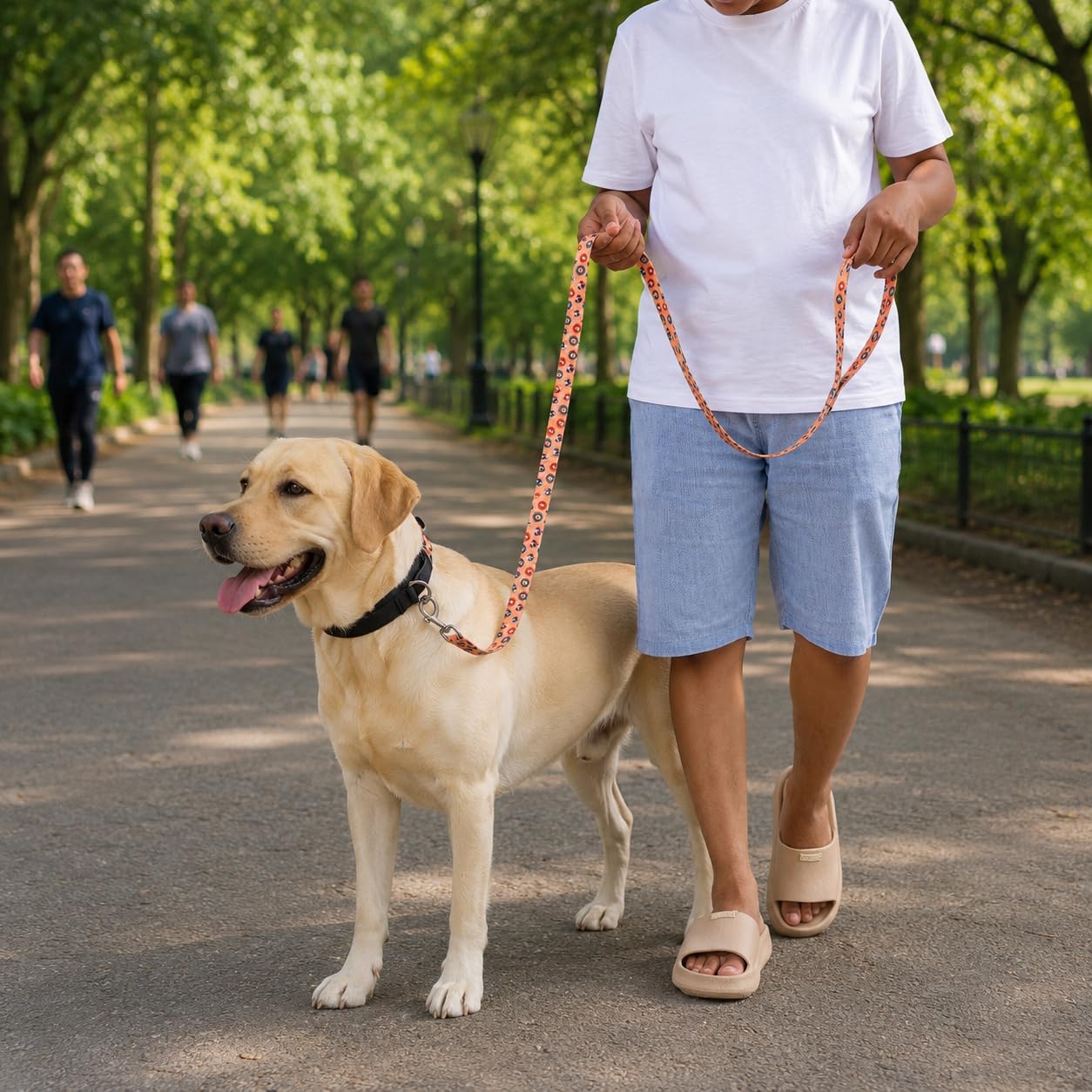 Heavy Duty Reflective Dog Leash with Padded Handle — Safe Walks Day & Night