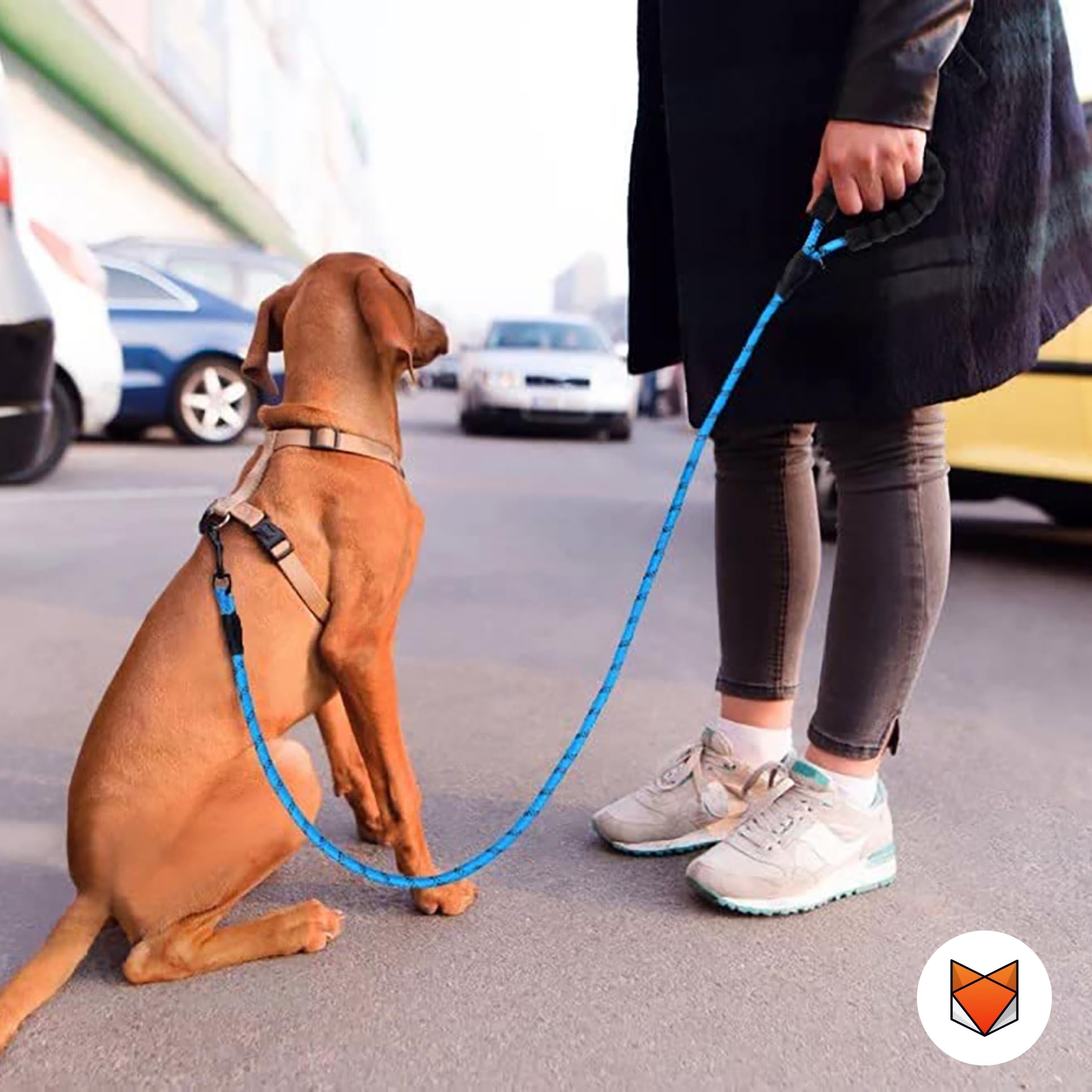 Heavy Duty Reflective Dog Leash with Padded Handle — Safe Walks Day & Night