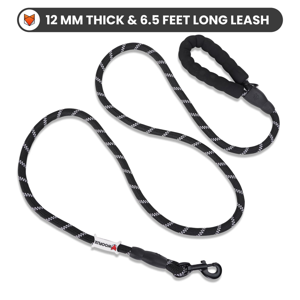 Heavy Duty Reflective Dog Leash with Padded Handle — Safe Walks Day & Night