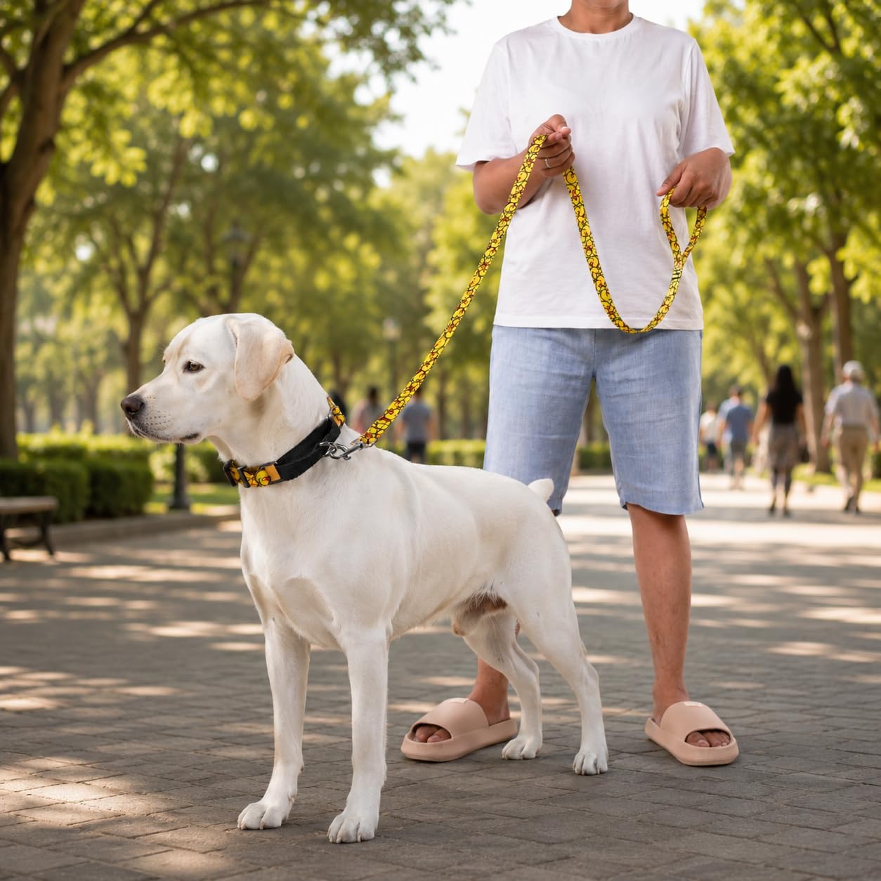 Heavy Duty Reflective Dog Leash with Padded Handle — Safe Walks Day & Night