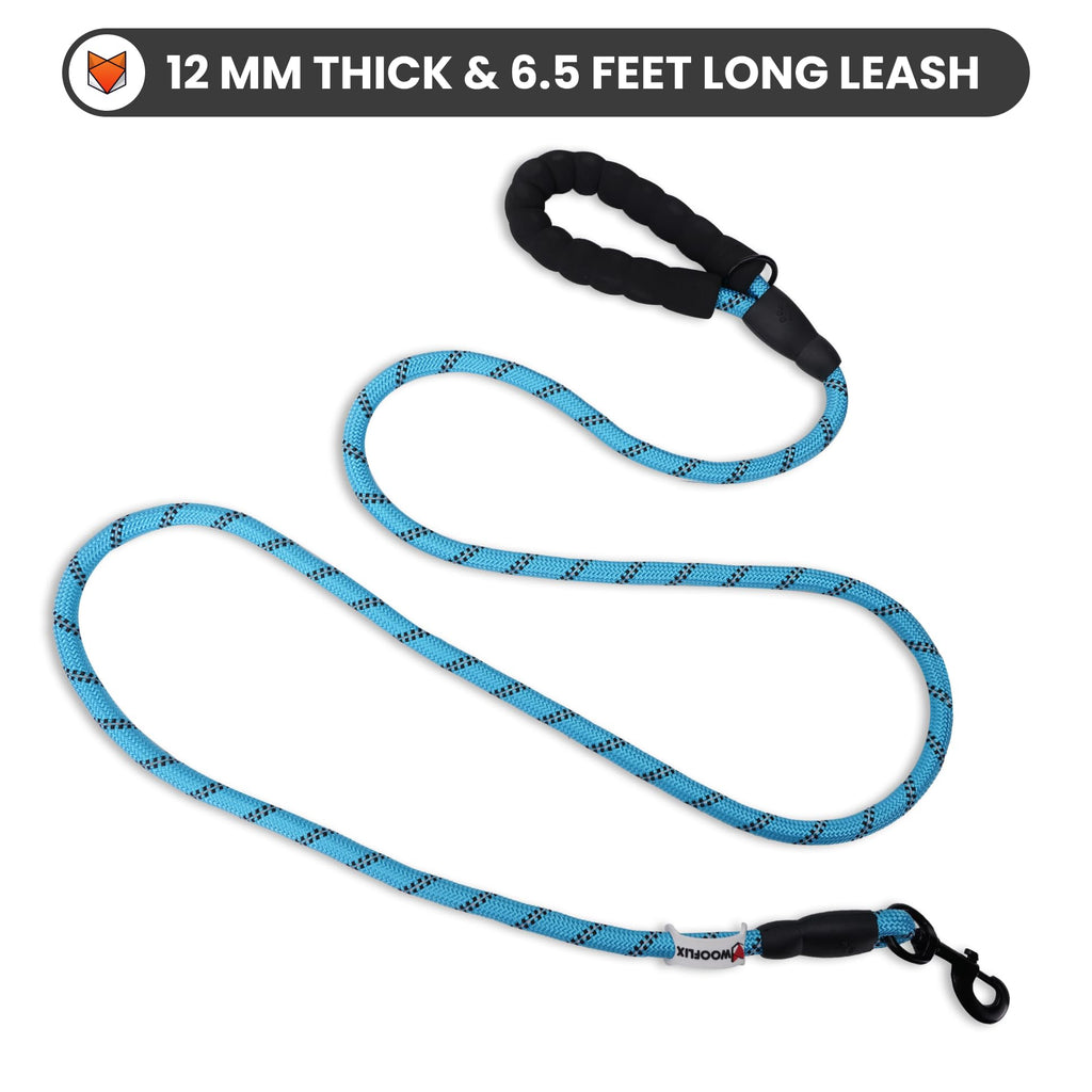 Heavy Duty Reflective Dog Leash with Padded Handle — Safe Walks Day & Night