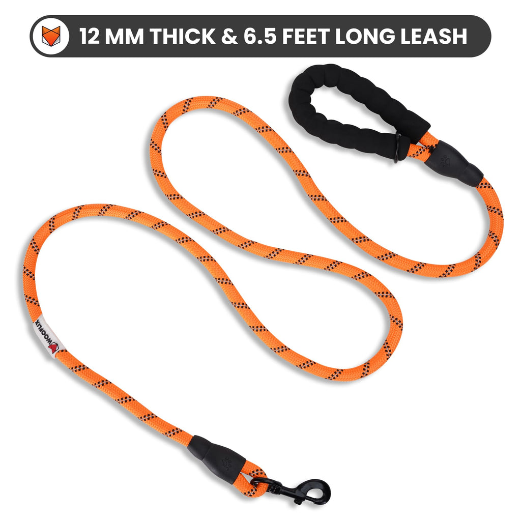 Heavy Duty Reflective Dog Leash with Padded Handle — Safe Walks Day & Night