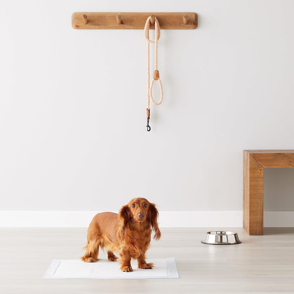 Leak-Proof Dog Potty Training Pads — Quick-Dry 5-Layer Absorbent Pee Pads