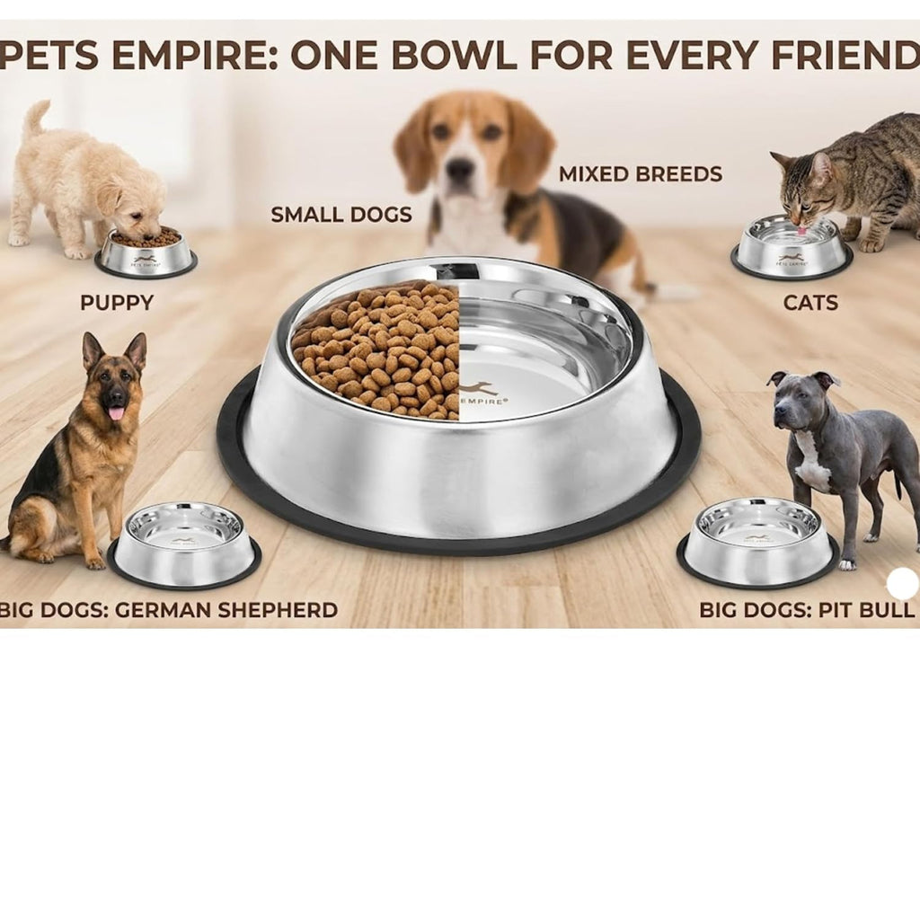 Stainless Steel Dog Feeding Bowl — Pack of 2 | Hygienic, Durable & Non-Slip
