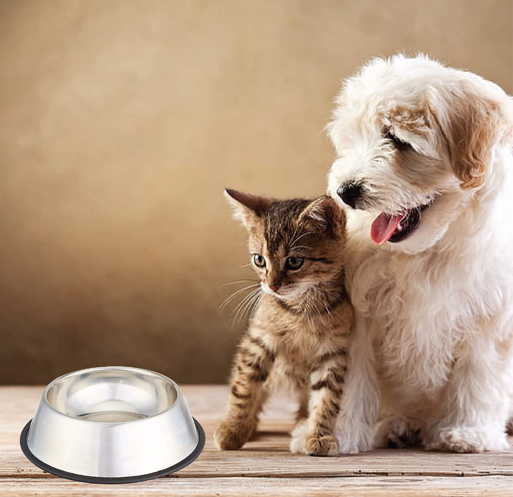 Stainless Steel Dog Feeding Bowl — Pack of 2 | Hygienic, Durable & Non-Slip