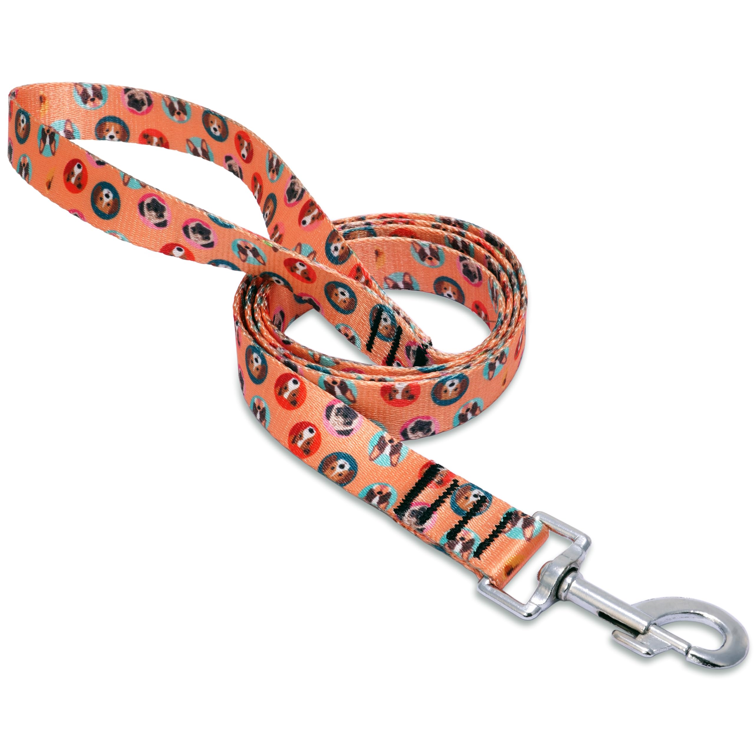 Heavy Duty Reflective Dog Leash with Padded Handle — Safe Walks Day & Night