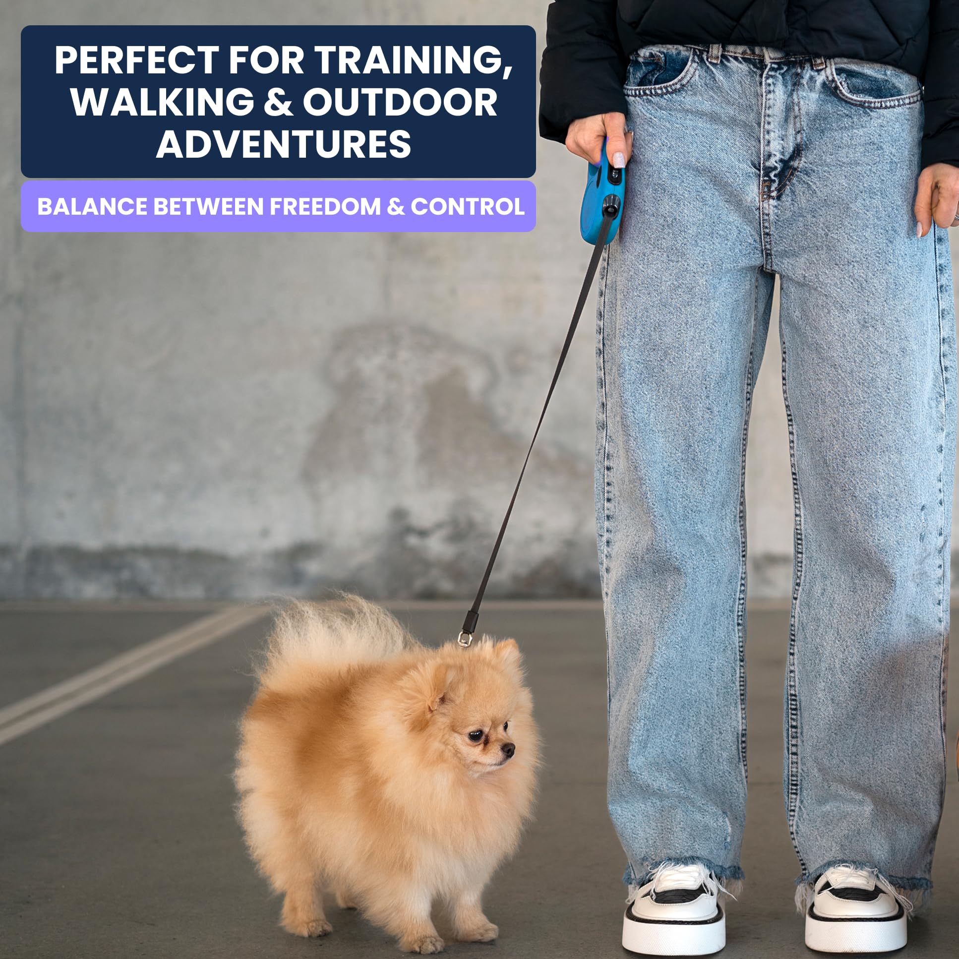 Heavy Duty Reflective Dog Leash with Padded Handle — Safe Walks Day & Night